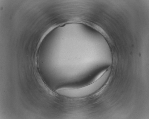 X0000067940908200604272031