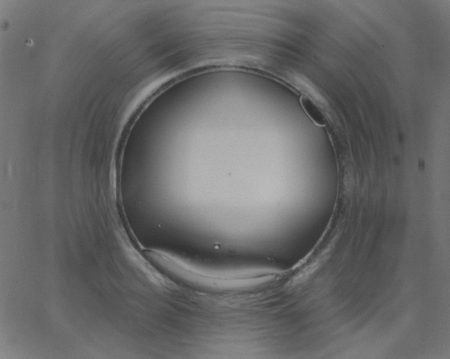 X0000067940940200604272031