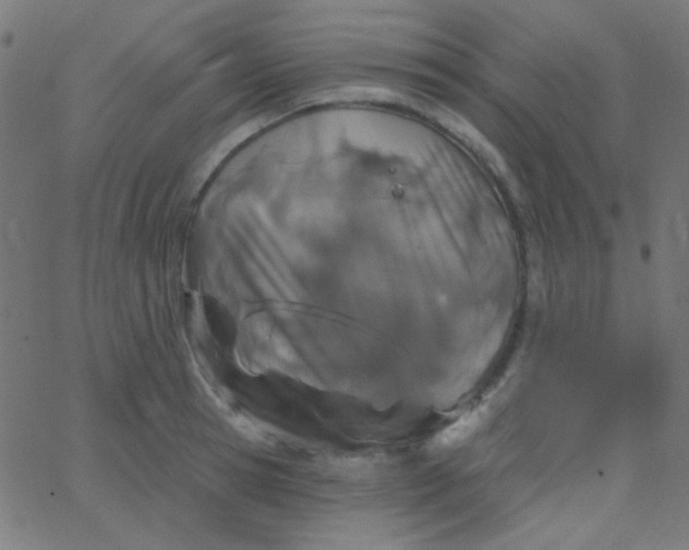 X0000067940945200604272031