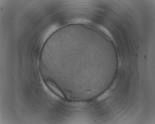 X0000067940946200604272031