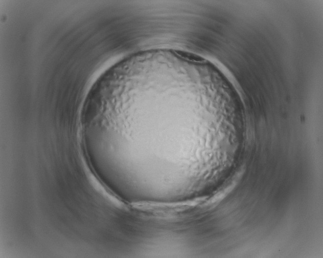 X0000067940957200604272031