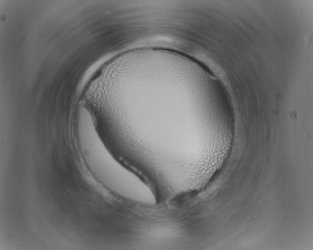 X0000067940960200604272031