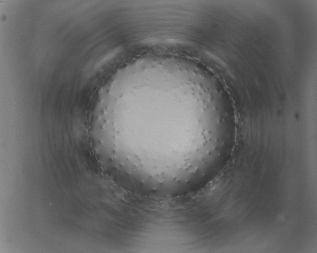 X0000067940966200604272030