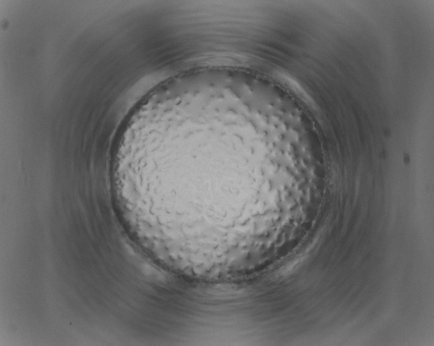 X0000067940986200604272030