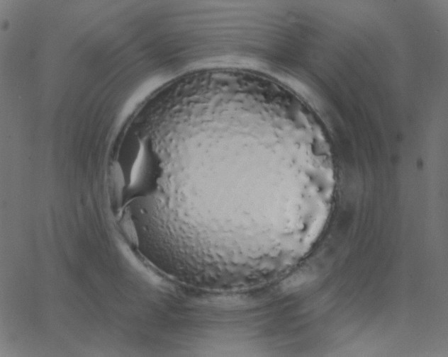 X0000067940998200604272029