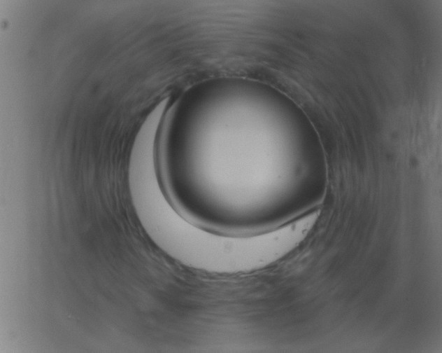 X0000067941010200604272029