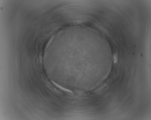 X0000067941011200604272029