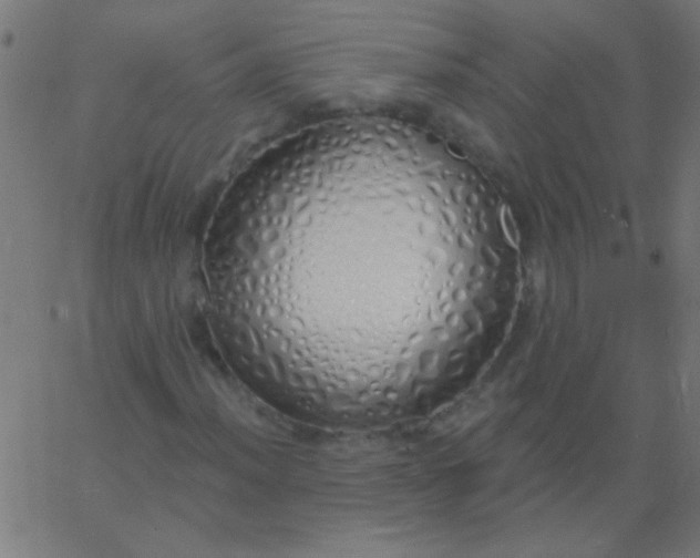 X0000067941012200604272029