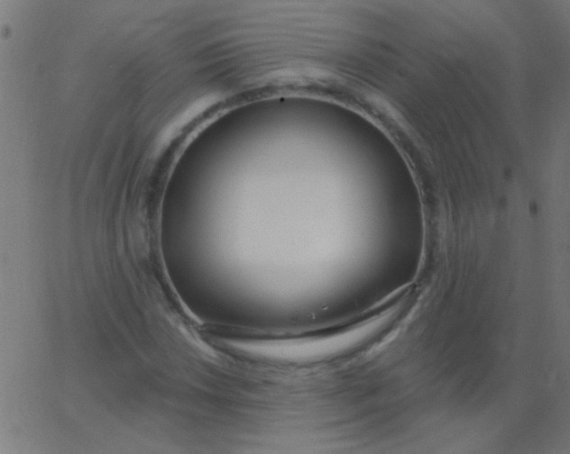 X0000067941018200604272029