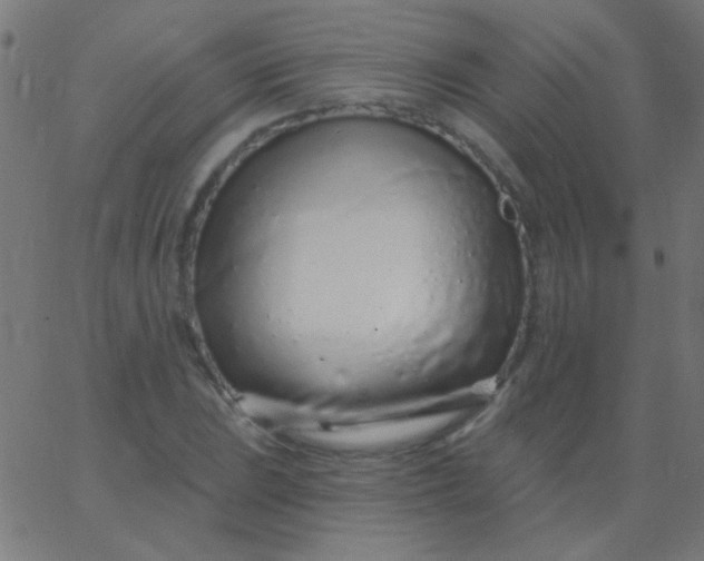 X0000067941023200604272029