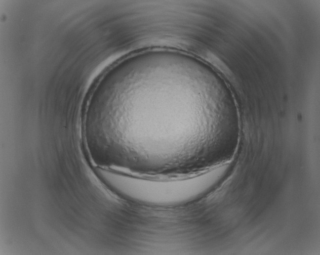 X0000067941028200604272029
