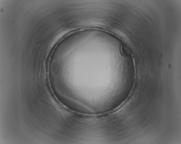 X0000067941031200604272029