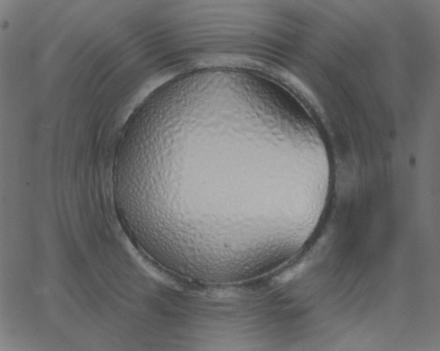 X0000067941041200604272029