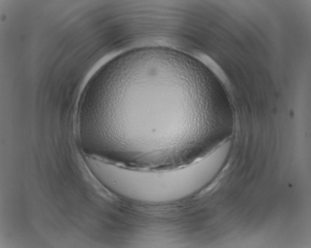 X0000067941052200604272029
