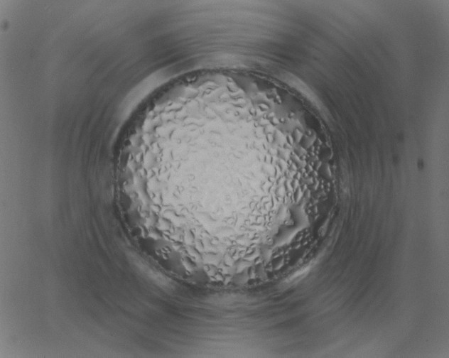 X0000067941075200604272028