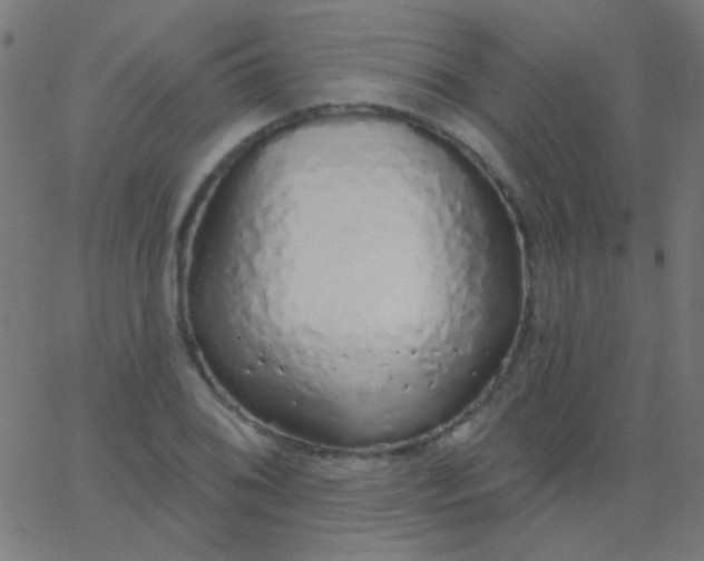 X0000067941076200604272028