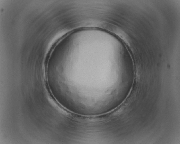 X0000067941080200604272028