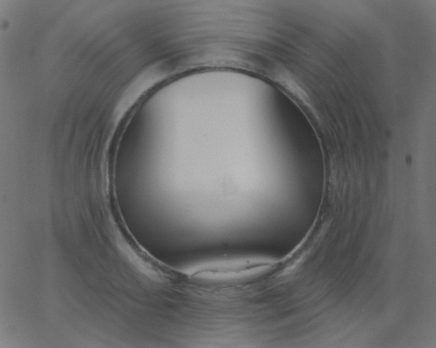 X0000067941082200604272028