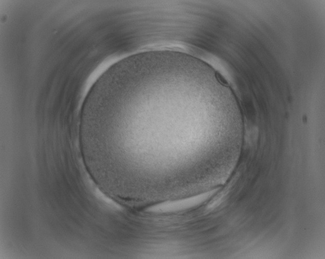 X0000067941102200604272028