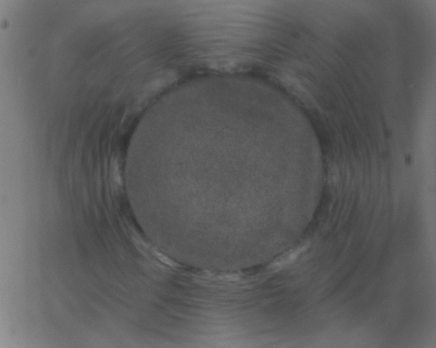 X0000067941106200604272027