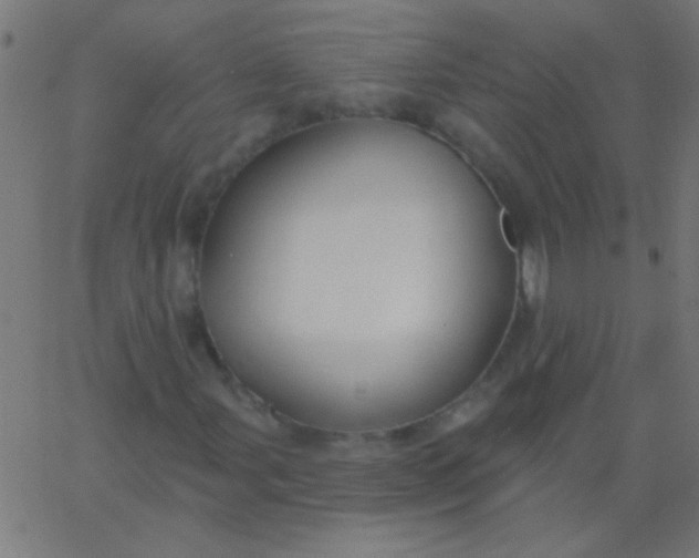 X0000067941107200604272027