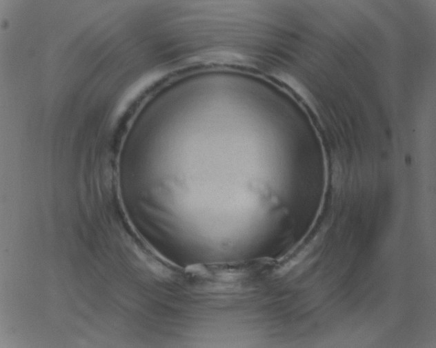 X0000067941115200604272027