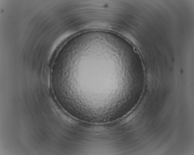 X0000067941123200604272027