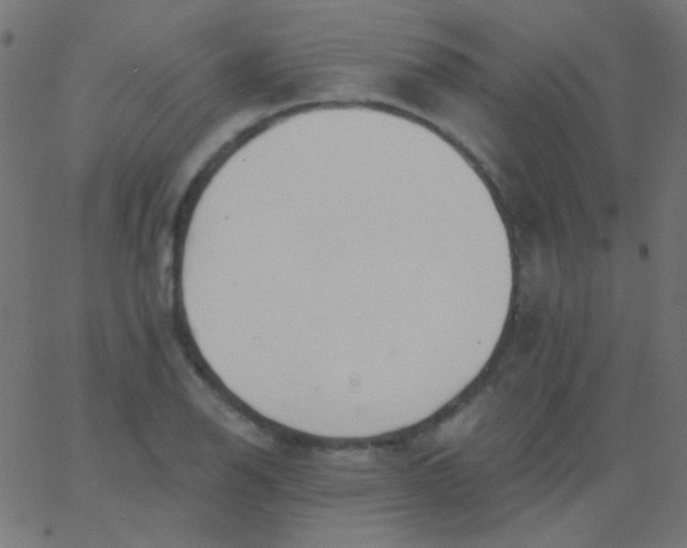 X0000067941126200604272027