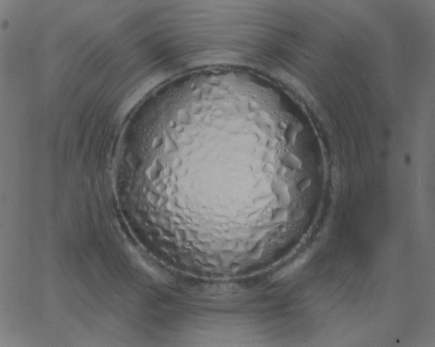X0000067941129200604272027