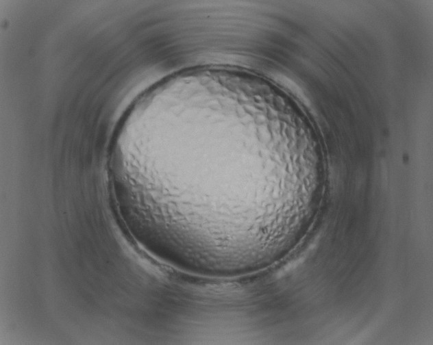X0000067941133200604272027