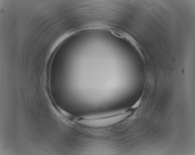 X0000067941147200604272028