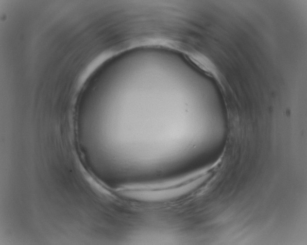 X0000067941151200604272028