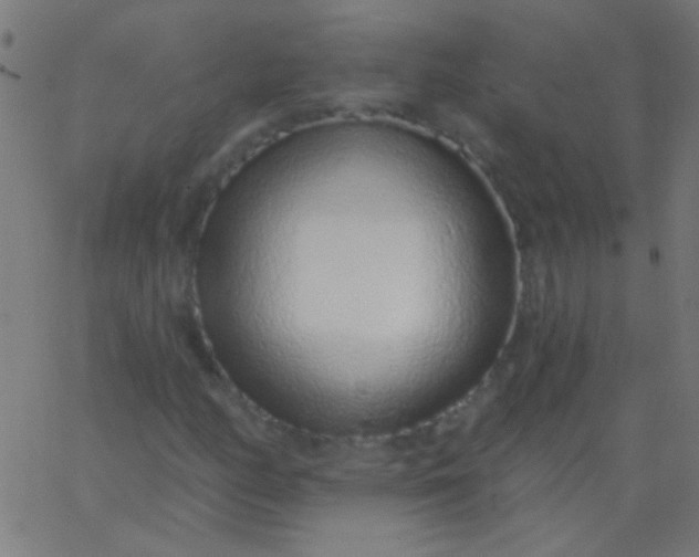 X0000067941158200604272027