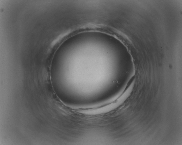X0000067941160200604272027