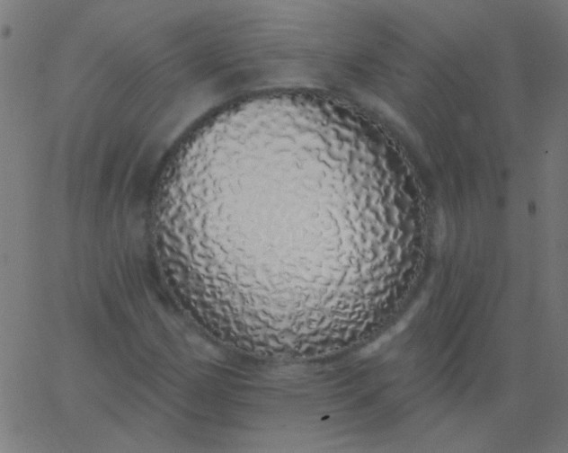 X0000067941162200604272027