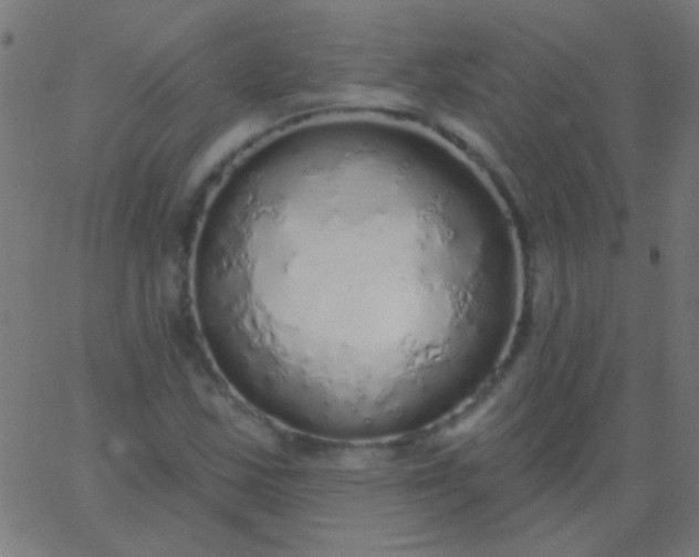 X0000067941163200604272027