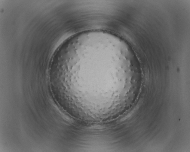 X0000067941178200604272027