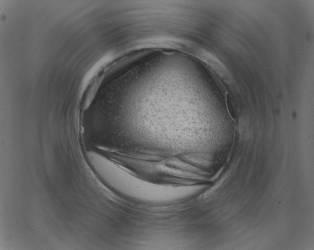 X0000067941180200604272027