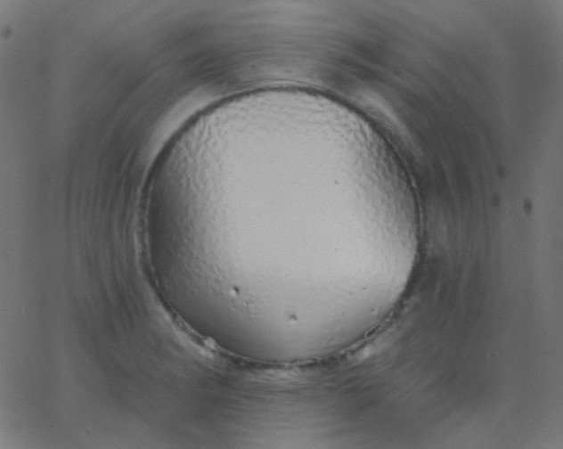X0000067941182200604272026