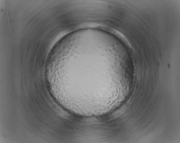 X0000067941186200604272026