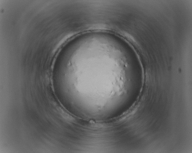 X0000067941212200604272026