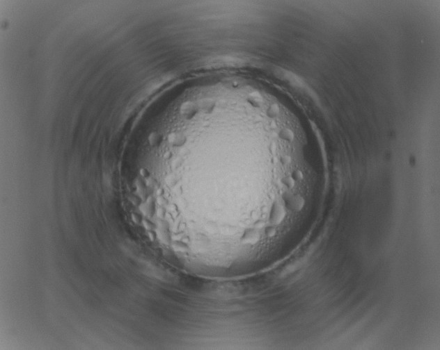 X0000067941217200604272026