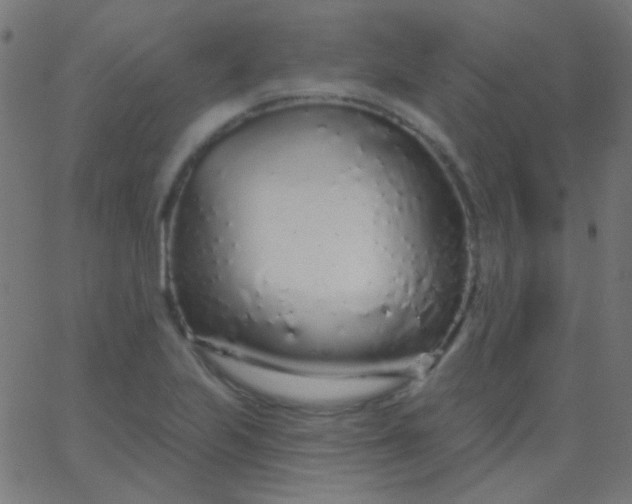 X0000067941223200604272026