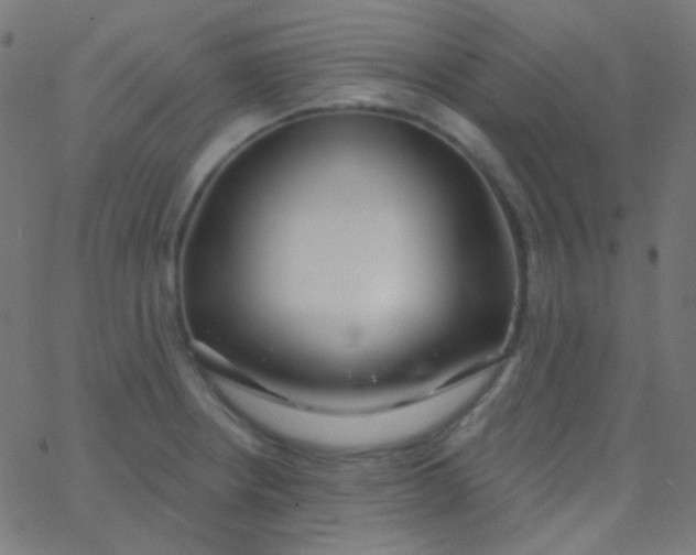 X0000067941234200604272026