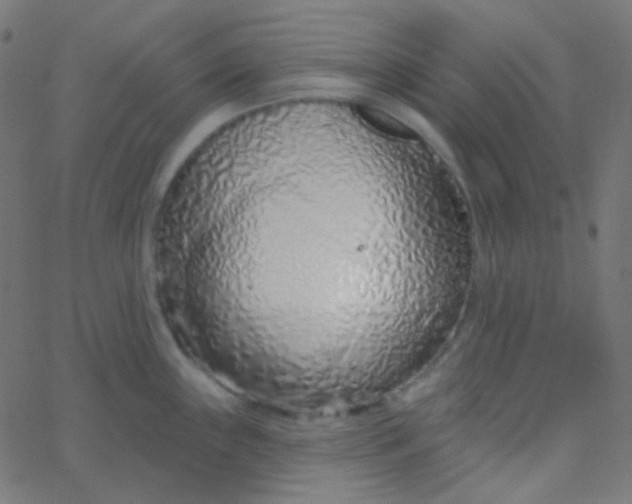 X0000067941243200604272026