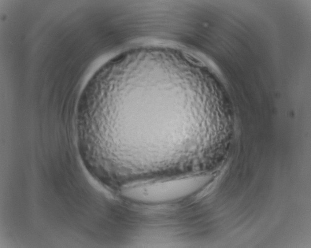 X0000067941247200604272026