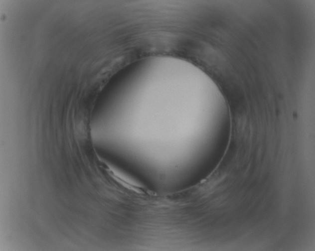 X0000067941250200604272025