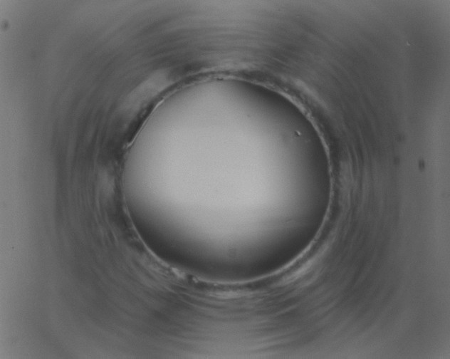 X0000067941257200604272025