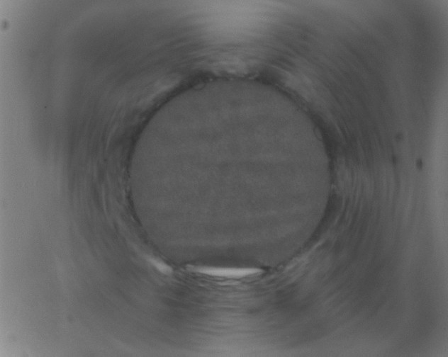 X0000067941297200604272024