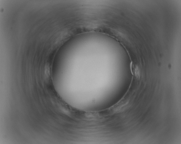 X0000067941299200604272024